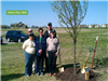 Arbor Day 2011
