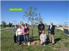 Arbor Day 2012