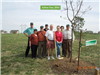Arbor Day 2014