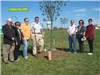 Tree Board Members and City Staff and Officials stand near tree planted for Arbor Day 2015.