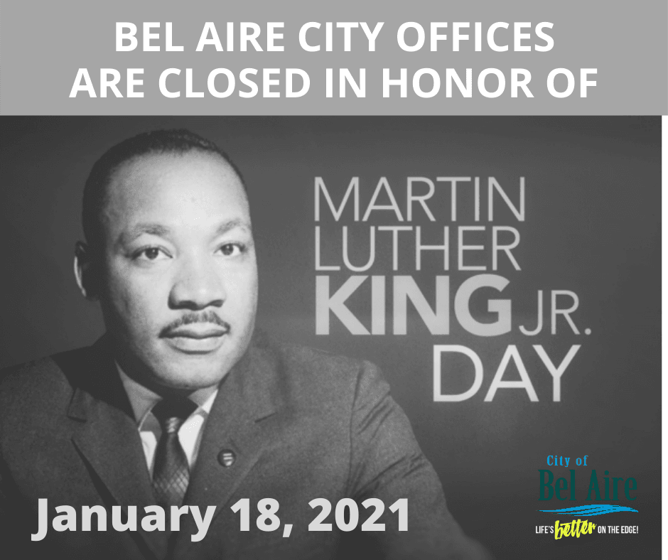 Martin Luther King Jr. Day 2021