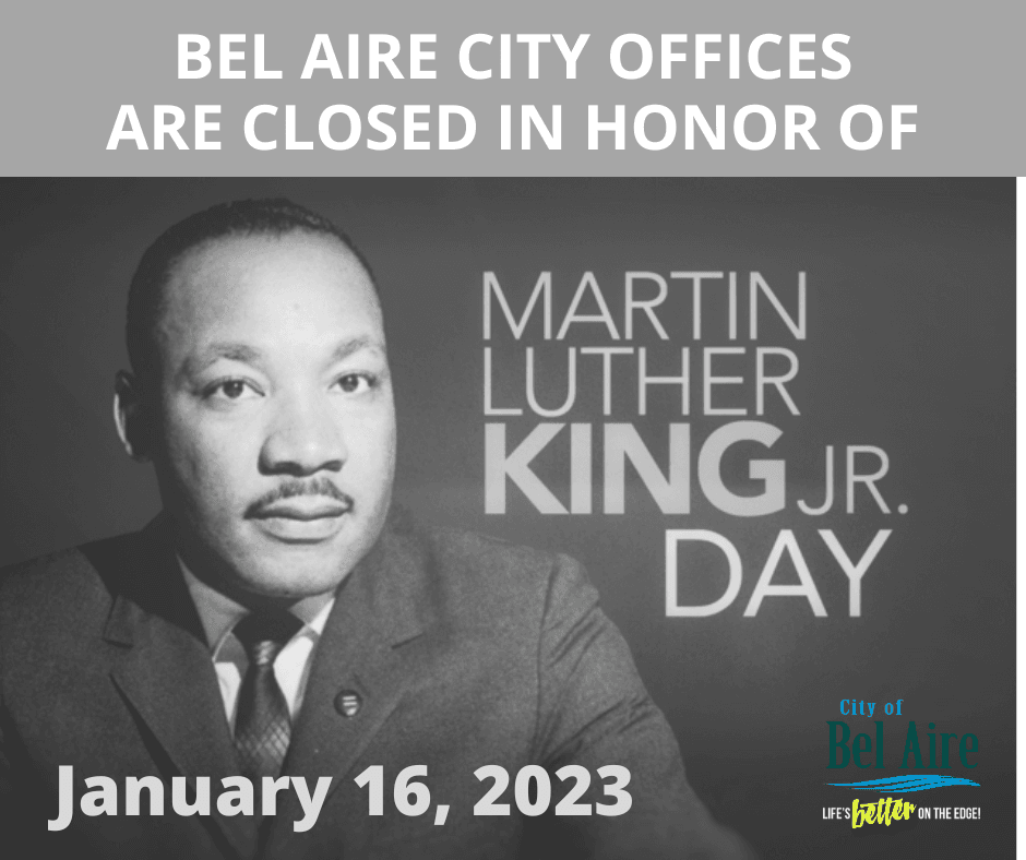 Martin Luther King Jr. Day 2021 (1)