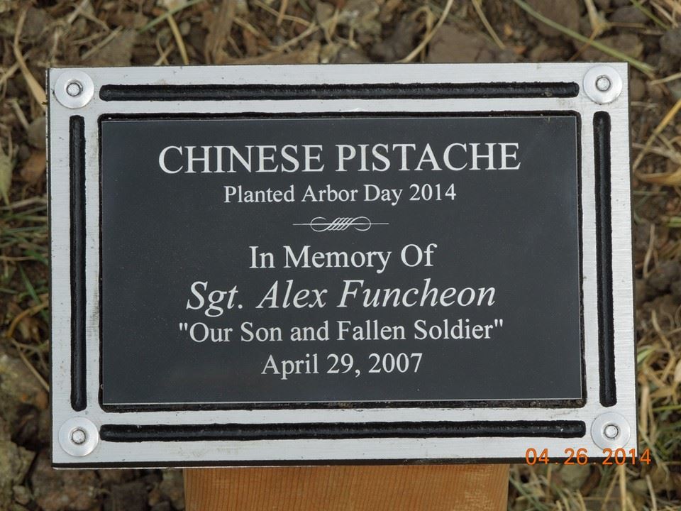 Tree plaque in memory of Sgt. Alex Funcheon 