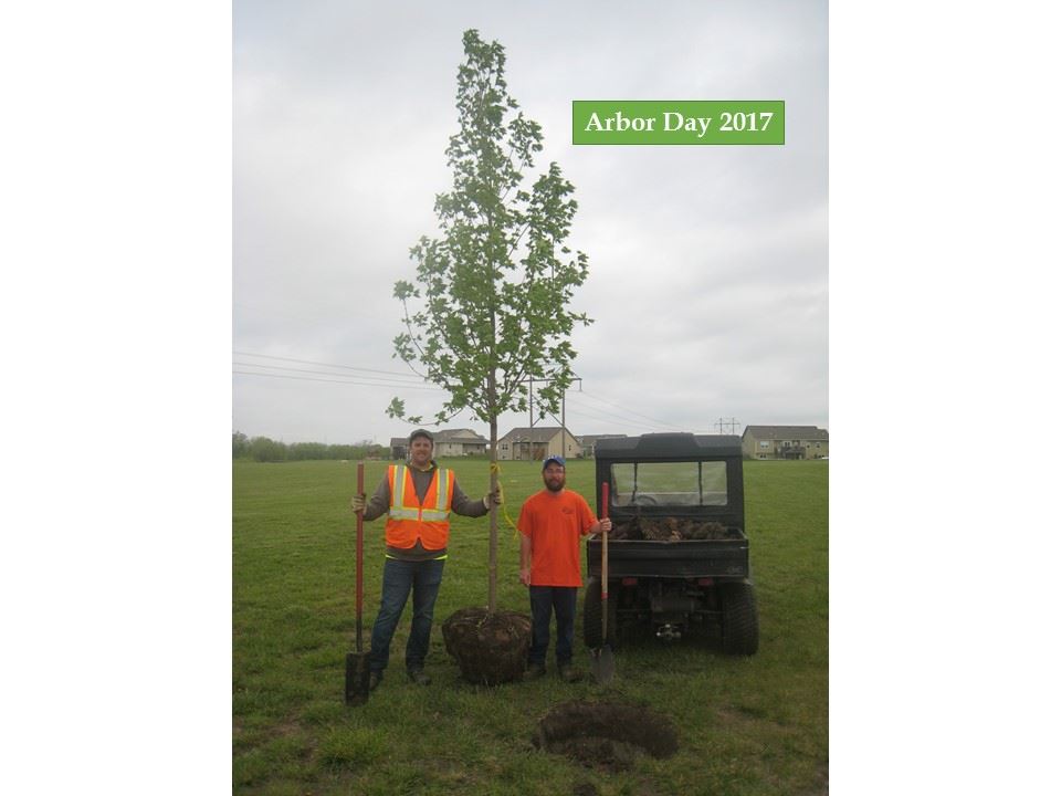 Staff ready to plant the tree on Arbor Day 2017.