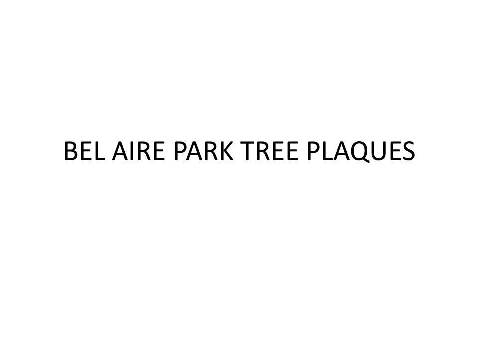 Bel Aire Park Tree Plaques