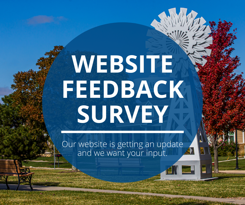 WEBSITE FEEDBACK SURVEY